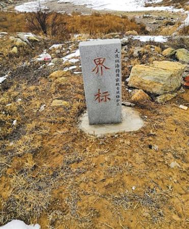 百只斑海豹遭盗猎38只死亡：生殖器被入药 售价逾万