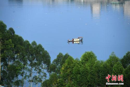 重庆沿江地区全国人大代表议绿色发展
