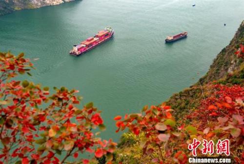 重庆沿江地区全国人大代表议绿色发展