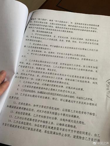 曹园租地70年：一亩林地一年3块 “不够一把筷子钱”