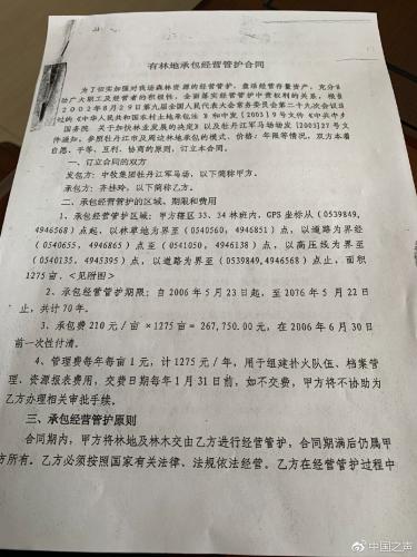 曹园租地70年：一亩林地一年3块 “不够一把筷子钱”