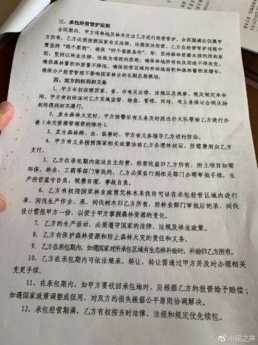 曹园租地70年：一亩林地一年3块 “不够一把筷子钱”