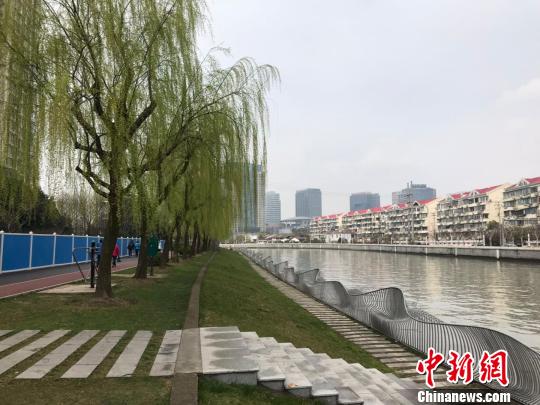 上海2020年力争全面消除劣V类水体 