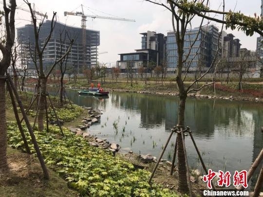 上海2020年力争全面消除劣V类水体 