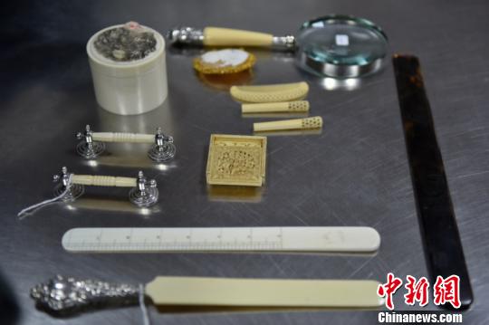 南宁海关打击濒危动物走私