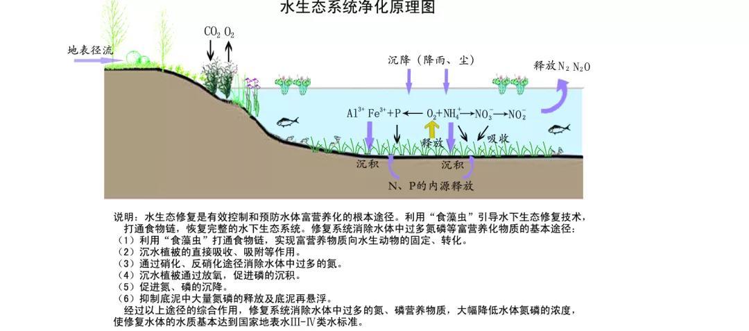 微信图片_20200302094630.jpg