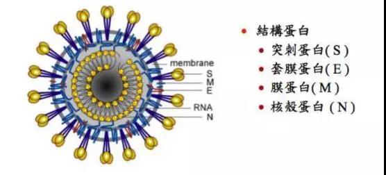 微信图片_20200220080658.jpg